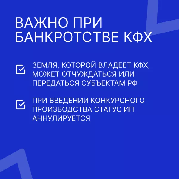 Земельный вопрос при банкротстве КФХ и статус ИП главы КФХ